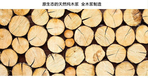 玛丽复印纸80G A3 红色（500张包） 5