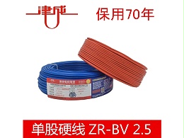 JINCHENG津成 阻燃塑料线 ZR-BV-450750V-1×2.5 黄绿双色 1米