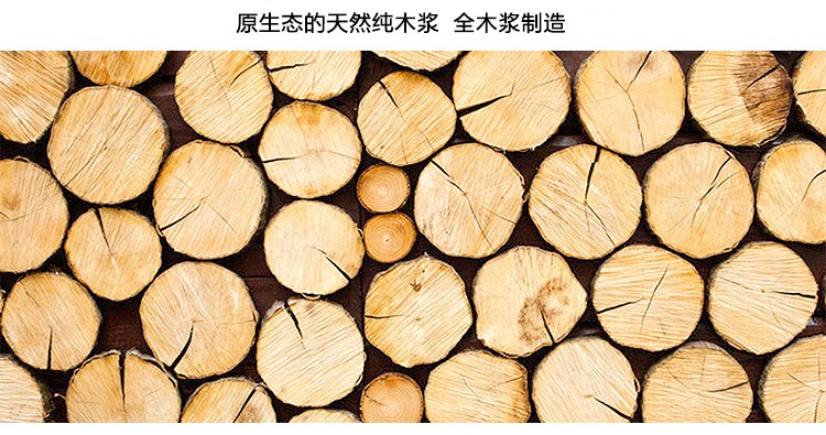 玛丽复印纸80G A3 红色（500张包） 5