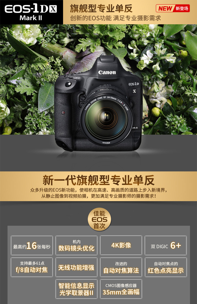 Canon/佳能EOS1DX MarkII 数码单反相机 1DX2 专业旗舰机 EOS 1DXII单机身 官方标配